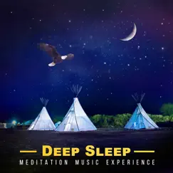 Deep Sleep Meditation Music Experience: Balance, Relax Mind & Spirit, Serenity, Study Focus, Liquid Bliss, Reflections of Dreams, Lullaby Ambience by Liquid Life Oasis album reviews, ratings, credits