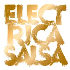Electrica Salsa (feat. Sven Väth) [Henrik Schwarz Dub] Song Lyrics