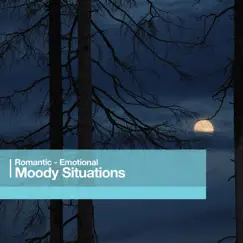 Moody Situations by Robert J. Walsh album reviews, ratings, credits