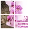 50 Mindfulness Meditation Techniques with Meditation Relax Music Instrumental Collection album lyrics, reviews, download