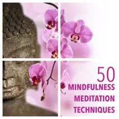 50 Mindfulness Meditation Techniques with Meditation Relax Music Instrumental Collection by Nirvana Meditation School Master album reviews, ratings, credits
