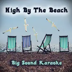 High by the Beach (Instrumental Version - Backing Track) Song Lyrics