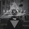 Burn Down (feat. Grove) - Single album lyrics, reviews, download