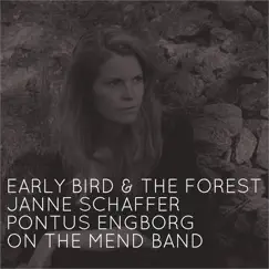 Daughters (feat. Janne Schaffer, Pontus Engborg & On the Mend Band) - Single by Early Bird & the Forest album reviews, ratings, credits
