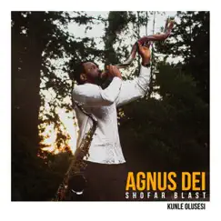 Agnus Dei (Shofar Blast) - Single by Kunle Olusesi album reviews, ratings, credits