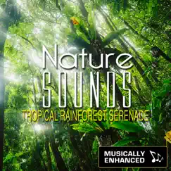 Nature Sounds: Tropical Rainforest Serenade (Musically Enhanced) by Chacra Music album reviews, ratings, credits