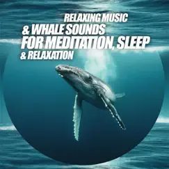 Relaxing Music & Whale Sounds for Meditation, Sleep & Relaxation by Music2meditate album reviews, ratings, credits