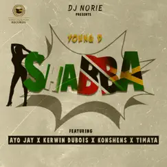 Shabba (feat. Young D, Ayo Jay, Kerwin Dubois, Konshens & Timaya) - Single by Dj Norie album reviews, ratings, credits