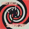 Downward Spiral - Single album lyrics, reviews, download