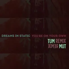 You're on Your Own (TUM Remix) - Single by Dreams In Static album reviews, ratings, credits