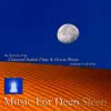 Classical Indian Flute & Ocean Waves (feat. Vivek Sonar) album lyrics, reviews, download