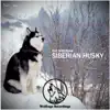 Siberian Husky - Single album lyrics, reviews, download