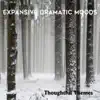 Thoughtful Themes: Expansive Dramatic Moods album lyrics, reviews, download