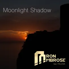 Moonlight Shadow (feat. Paulina) [Ambrose Extended Mix] Song Lyrics