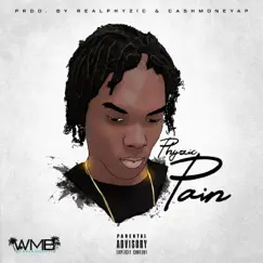 Pain - Single by Phyzic album reviews, ratings, credits
