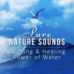 Harp Music & Gentle Water Stream Song Lyrics