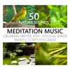 Nature Sounds Meditation Music: Calming Water and Singing Birds, Waves, Soothing Rain, Beach, Waterfall, Rainforest, Tropical Spa Surf album lyrics, reviews, download