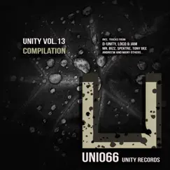 Unity, Vol. 13 Compilation by Various Artists album reviews, ratings, credits
