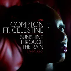 Sunshine Through the Rain (feat. Celestine) [Kinky Movement Dub] Song Lyrics