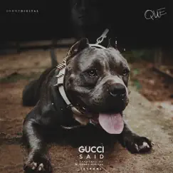 Gucci Said - Single by Sonny Digital & Que album reviews, ratings, credits