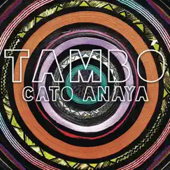 Tambó (Radio Edit) - Single by Cato Anaya album reviews, ratings, credits