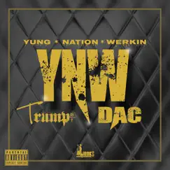Yung Nation Werkin' (feat. Dac) - Single by Trump247 album reviews, ratings, credits