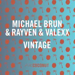 Vintage - Single by Michael Brun, RayVen & Valexx album reviews, ratings, credits