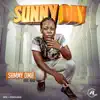 Sunny Day (feat. Adol) - Single album lyrics, reviews, download