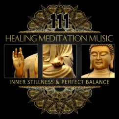 111 Healing Meditation Music: Inner Stillness & Perfect Balance, Calming Ocean Waves, Buddha Zen Garden, Daily Chakra Yoga Relaxation, Stress Release by Relaxing Music Guys album reviews, ratings, credits
