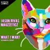 What I Want (Instrumental Club Mix) - Single album lyrics, reviews, download