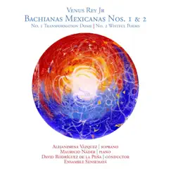 Bachiana Mexicana No. 1: 5. Finale: Vocalise Song Lyrics