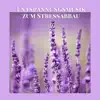Entspannungsmusik zum Stressabbau - New Age Beruhigende Hintergrundmusik mit Meeresrauschen album lyrics, reviews, download