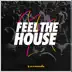 Feel the House album cover