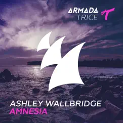Amnesia - Single by Ashley Wallbridge album reviews, ratings, credits