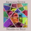 Shards of Self album lyrics, reviews, download