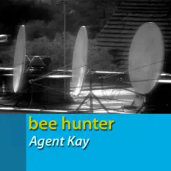 Agent Kay - Single by Bee Hunter album reviews, ratings, credits