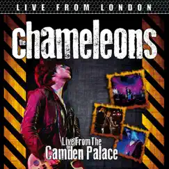 Live From London (Live) by The Chameleons album reviews, ratings, credits