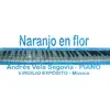 Naranjo En Flor song lyrics