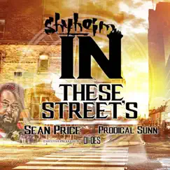 In These Streets (feat. Sean Price, Prodigal Sunn & DJ Des) - Single by Shyheim album reviews, ratings, credits
