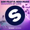 Shadows of Love (feat. Heidi Rojas) [Extended Mix] song lyrics