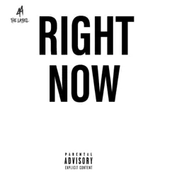 Right Now - Single by S.A Reign album reviews, ratings, credits