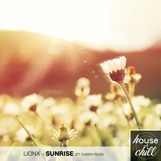 Sunrise (feat. Fabien Pizar) - Single by LionX album download