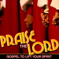 Praise the Lord: Gospel to Lift Your Spirit by Various Artists album reviews, ratings, credits