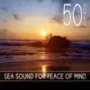 50 New Age: Sea Sound for Peace of Mind - Calming Instrumental Music to Reduce Stress, Rainforest & Nature Sounds, White Noise, Sleep Meditation Music, Relax, Yoga Songs album lyrics, reviews, download