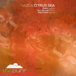 Citrus Sea - EP by Nazca album reviews, ratings, credits