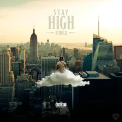 Stay High - Single by Thorb album reviews, ratings, credits