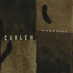 Paradise by Curlew album reviews, ratings, credits