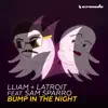 Bump in the Night (feat. Sam Sparro) - Single album lyrics, reviews, download