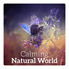 Calming Natural World – Calmness, Restful Break, Relaxing Time, Serene Moments, Happiness & Stress Relief by Feeling Good Club album reviews, ratings, credits
