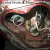 Contango - EP album lyrics, reviews, download